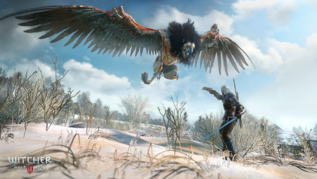 The Witcher 3: Wild Hunt screenshot