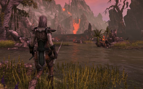 Elder Scrolls Online screenshot