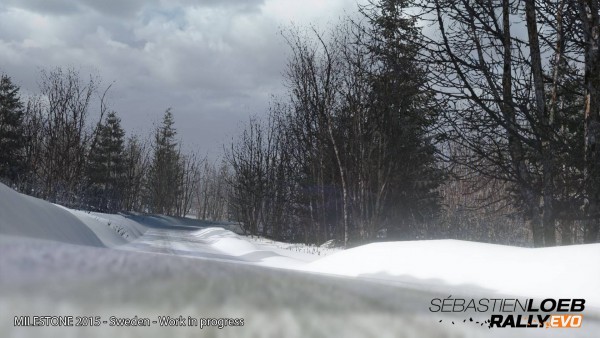 Sebastien Loeb Rally Evo screenshot